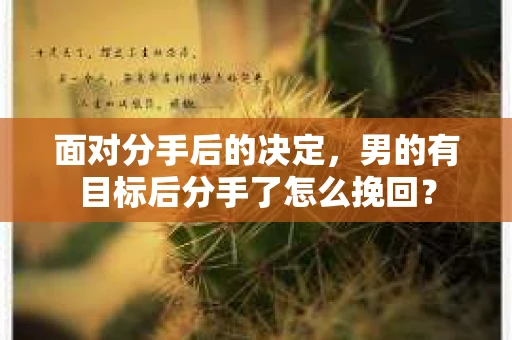 面对分手后的决定，男的有目标后分手了怎么挽回？