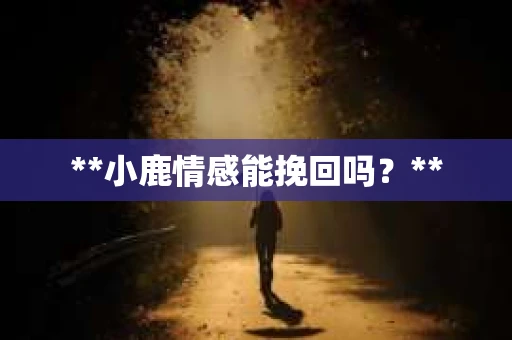 **小鹿情感能挽回吗？**