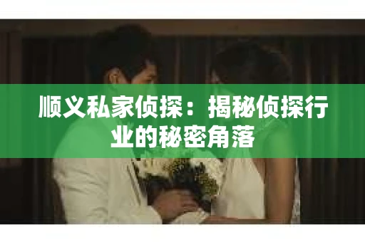 顺义私家侦探：揭秘侦探行业的秘密角落