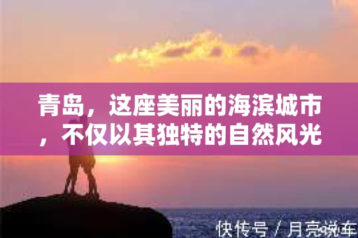 青岛，这座美丽的海滨城市，不仅以其独特的自然风光著称，更以其发达的经济和便捷的交通吸引了众多企业和个人。然而，随着商业活动的日益频繁，债务问题也日益凸显。这时，青岛专业催收公司的出现，无疑为解决债务问题提供了一种高效、合法的途径。
