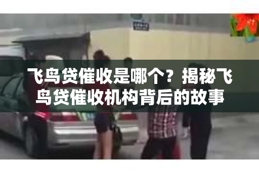 飞鸟贷催收是哪个？揭秘飞鸟贷催收机构背后的故事