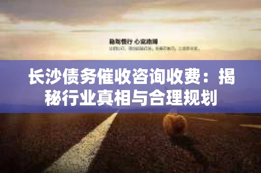 长沙债务催收咨询收费：揭秘行业真相与合理规划
