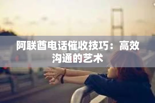 阿联酋电话催收技巧：高效沟通的艺术