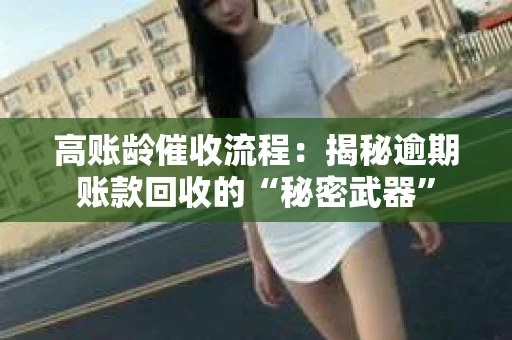 高账龄催收流程：揭秘逾期账款回收的“秘密武器”