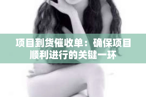 项目到货催收单：确保项目顺利进行的关键一环