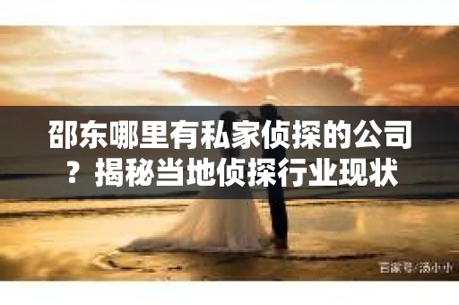 邵东哪里有私家侦探的公司？揭秘当地侦探行业现状