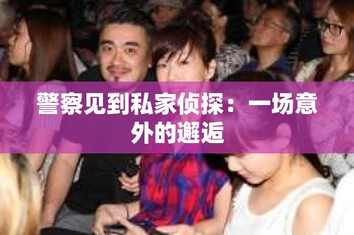 警察见到私家侦探：一场意外的邂逅