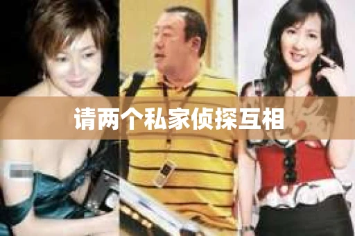 请两个私家侦探互相