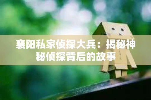 襄阳私家侦探大兵：揭秘神秘侦探背后的故事