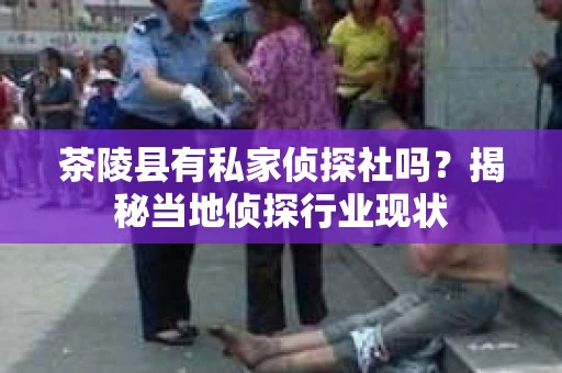 茶陵县有私家侦探社吗？揭秘当地侦探行业现状
