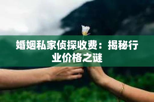 婚姻私家侦探收费：揭秘行业价格之谜