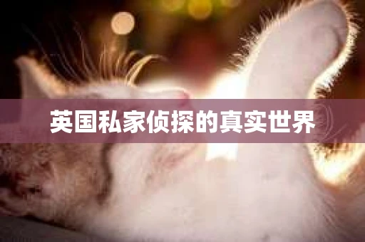 英国私家侦探的真实世界