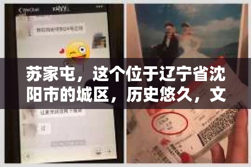 苏家屯，这个位于辽宁省沈阳市的城区，历史悠久，文化底蕴深厚。近年来，随着社会的发展，人们对于私家侦探的需求也逐渐增加。那么，苏家屯有私家侦探吗？今天，我们就来聊聊这个话题。