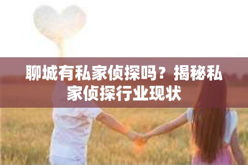 聊城有私家侦探吗?揭秘私家侦探行业现状 聊城有私家侦探吗?揭秘私家侦探行业现状
