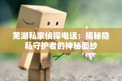 芜湖私家侦探电话：揭秘隐私守护者的神秘面纱