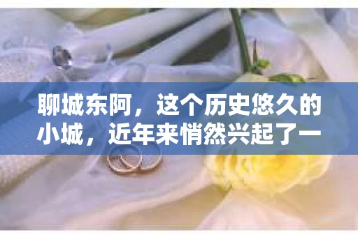 聊城东阿，这个历史悠久的小城，近年来悄然兴起了一股新的服务潮流——私家侦探。今天，我们就来聊聊这个话题，看看在聊城东阿，私家侦探是如何成为人们生活中的一部分的。