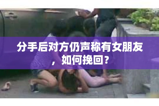 分手后对方仍声称有女朋友，如何挽回？