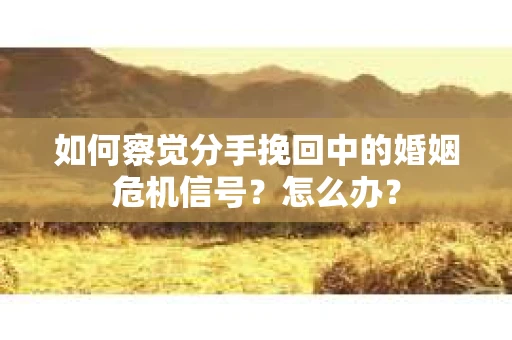 如何察觉分手挽回中的婚姻危机信号？怎么办？