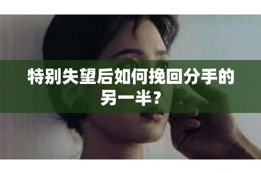 特别失望后如何挽回分手的另一半？