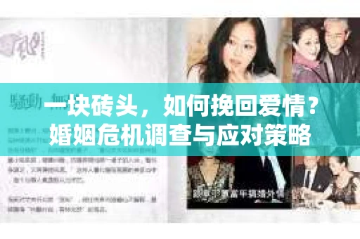 一块砖头，如何挽回爱情？婚姻危机调查与应对策略