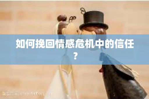 如何挽回情感危机中的信任？