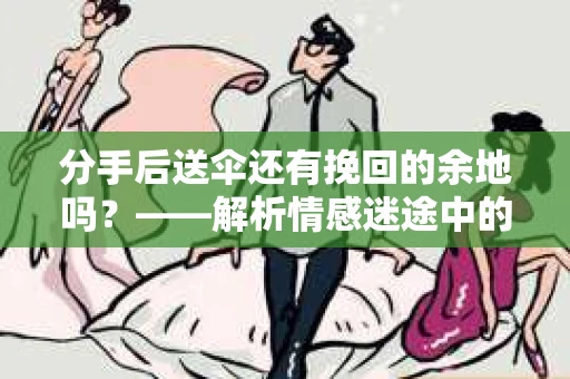 分手后送伞还有挽回的余地吗？——解析情感迷途中的决策
