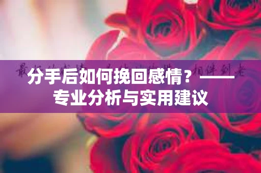 分手后如何挽回感情？——专业分析与实用建议