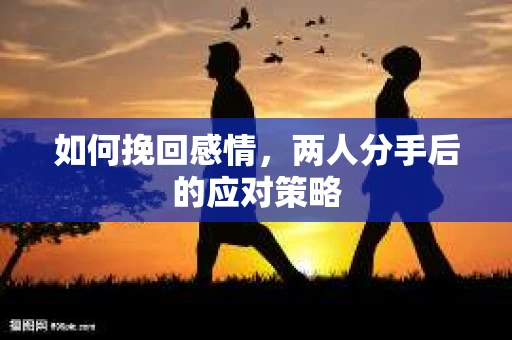 如何挽回感情,两人分手后的应对策略 如何挽回感情,两人分手后的应对策略